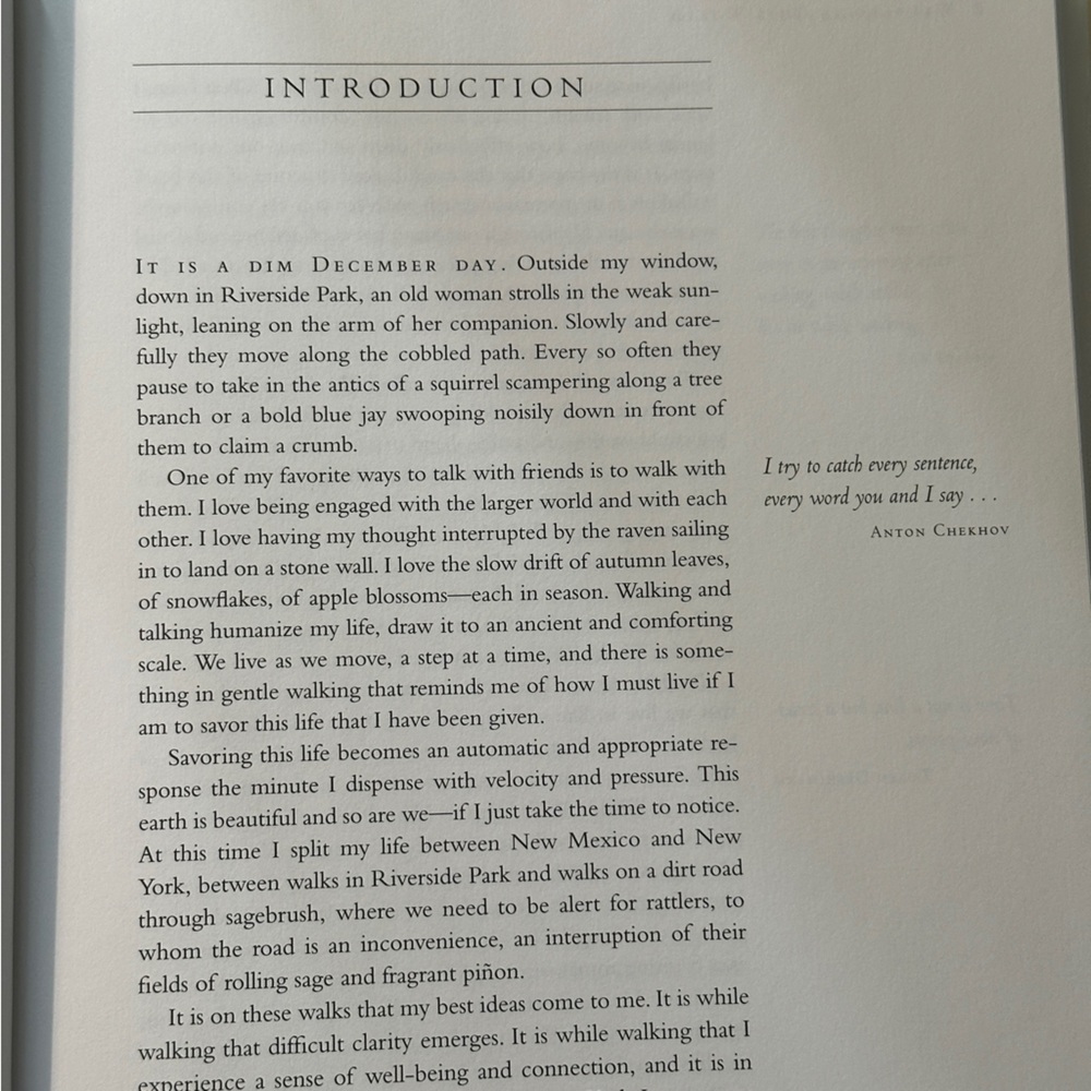 Walking in This World by Julia Cameron | Self-Help, Creativity | Hardcover Book - Picture 12 of 13